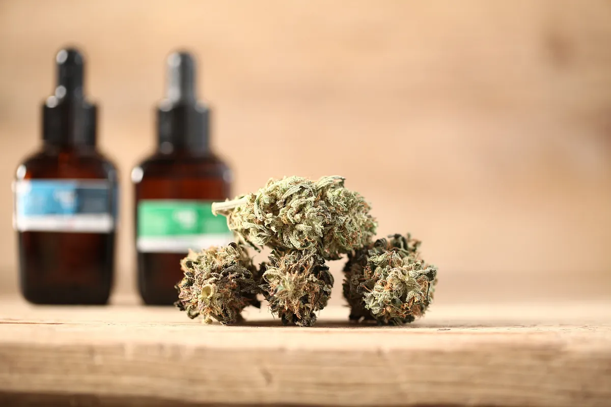 cbd aceites y productos